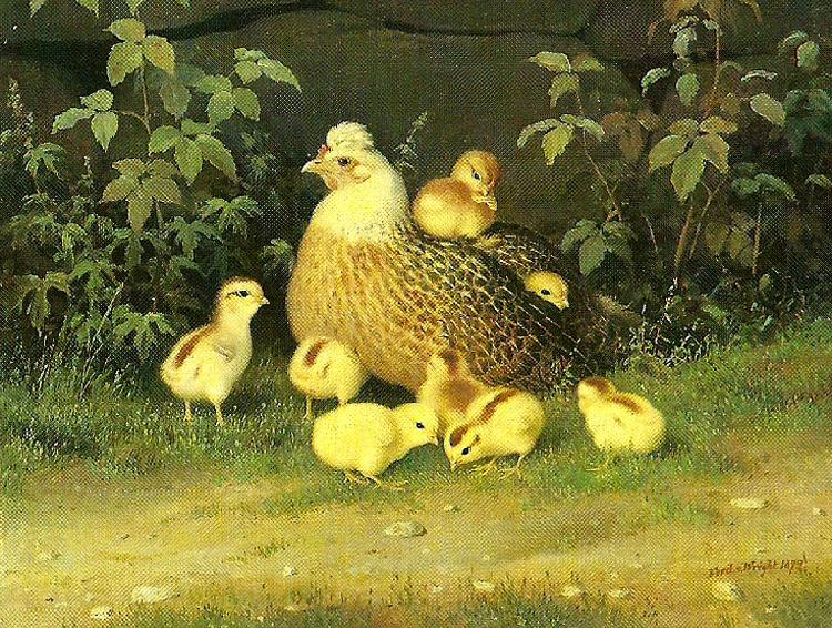 broderna von wrights hona med kycklingar France oil painting art
